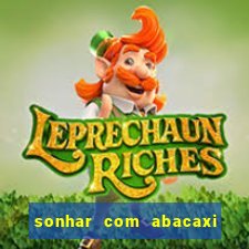 sonhar com abacaxi no jogo do bicho